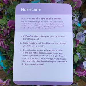 Hurricane 