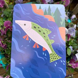 Salmon 