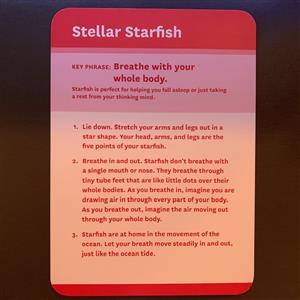 Stellar Starfish 