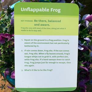 frog 
