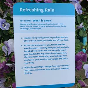 rain 