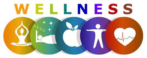 wellness 