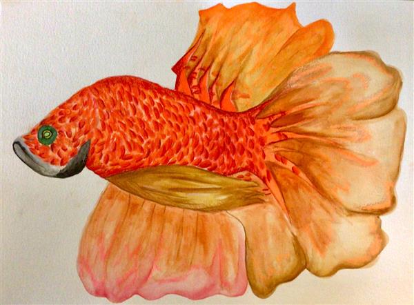 by Julianne Snopkowski