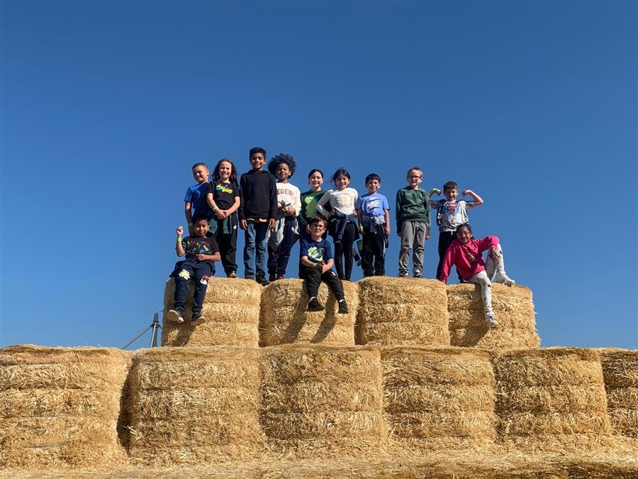 Cherry Crest Farm