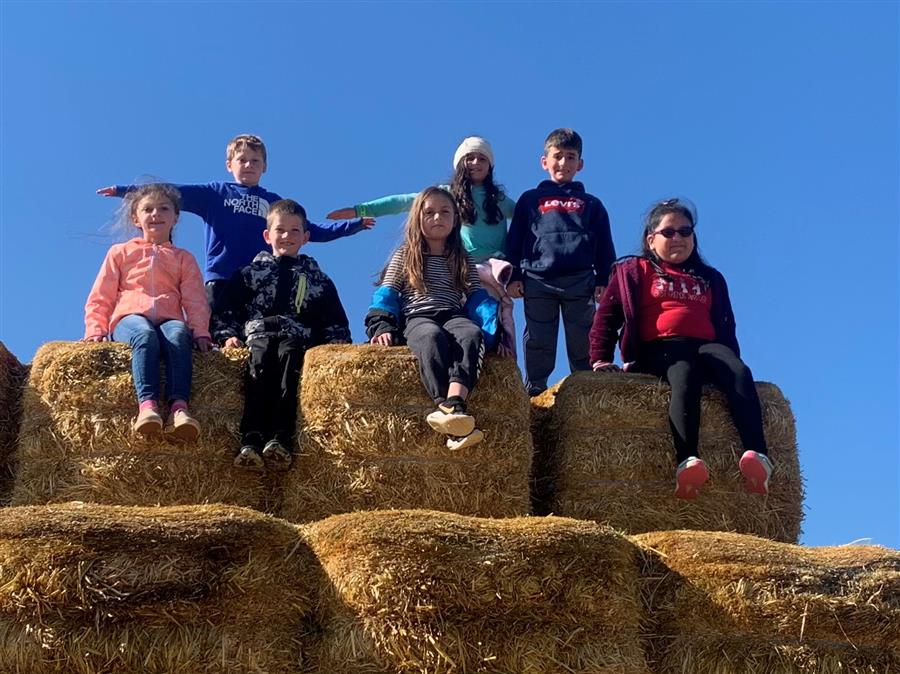 3rd Grade Field Trip 2022 to Cherry Crest Farm
